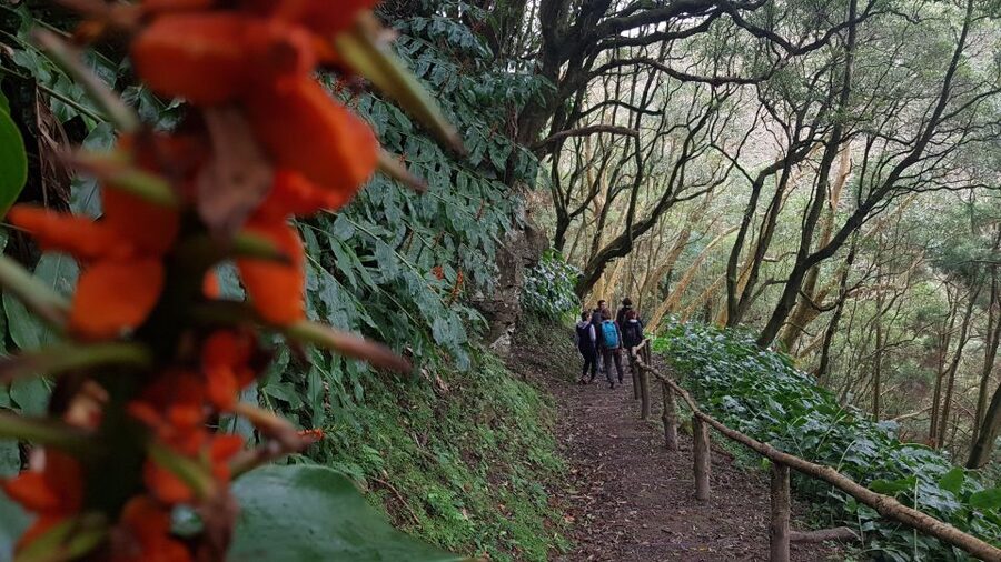 Lomba de São Pedro: Waterfall Hiking Tour with Tea Tasting - The final climb leads through local life
