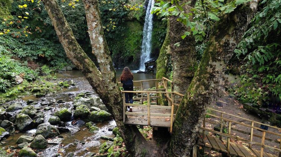 Lomba de São Pedro: Waterfall Hiking Tour with Tea Tasting - Picnic lunch and a slower afternoon