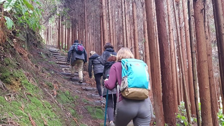 Lomba de São Pedro: Waterfall Hiking Tour with Tea Tasting - Santa Iria Lookout closes the route