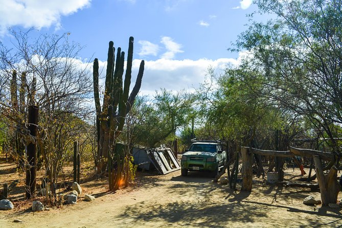 Los Cabos: Hiking at the Fox Canyon with Waterfall - Why this desert hike is worth your time