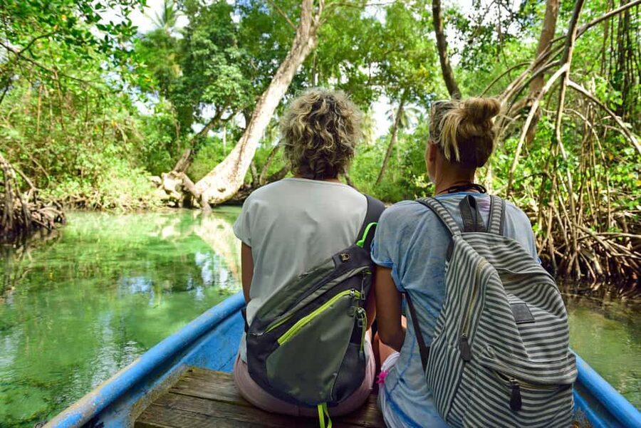 Los Haitises: Caves, Mangroves, & Rainforest Hike/Boat Tour - Why Los Haitises works as a full-day nature outing