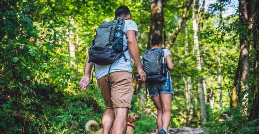 Los Haitises: Caves, Mangroves, & Rainforest Hike/Boat Tour - Who will enjoy this tour most