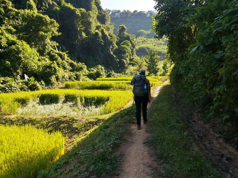 Luang Prabang: 3-Day Cultural Remote Trek With Homestay - Key points at a glance
