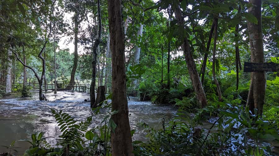Luang Prabang: Full Day Trek to Kuang Si Waterfall & Village - Why the walk to Kuang Si is the main event