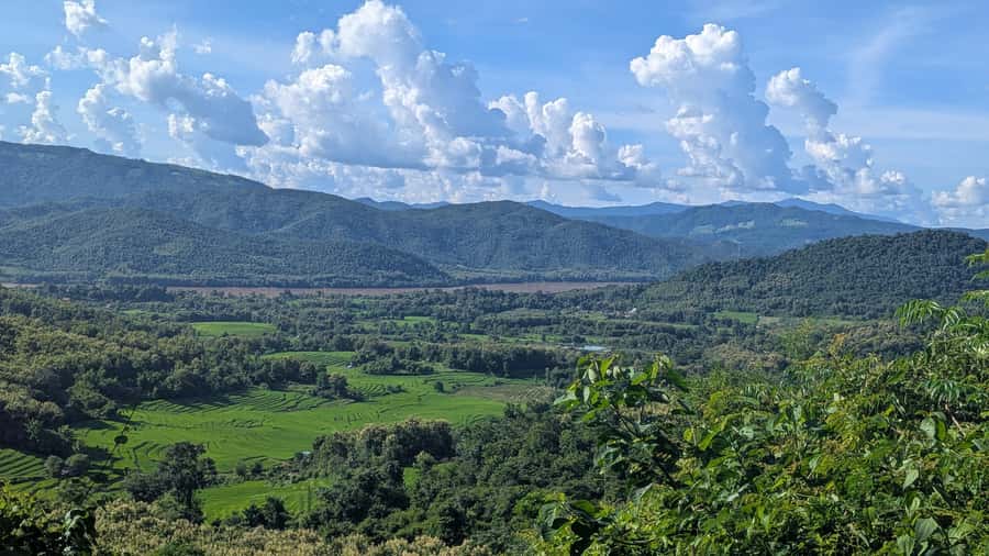 Luang Prabang: Full Day Trek to Kuang Si Waterfall & Village - Who should book this Kuang Si hike