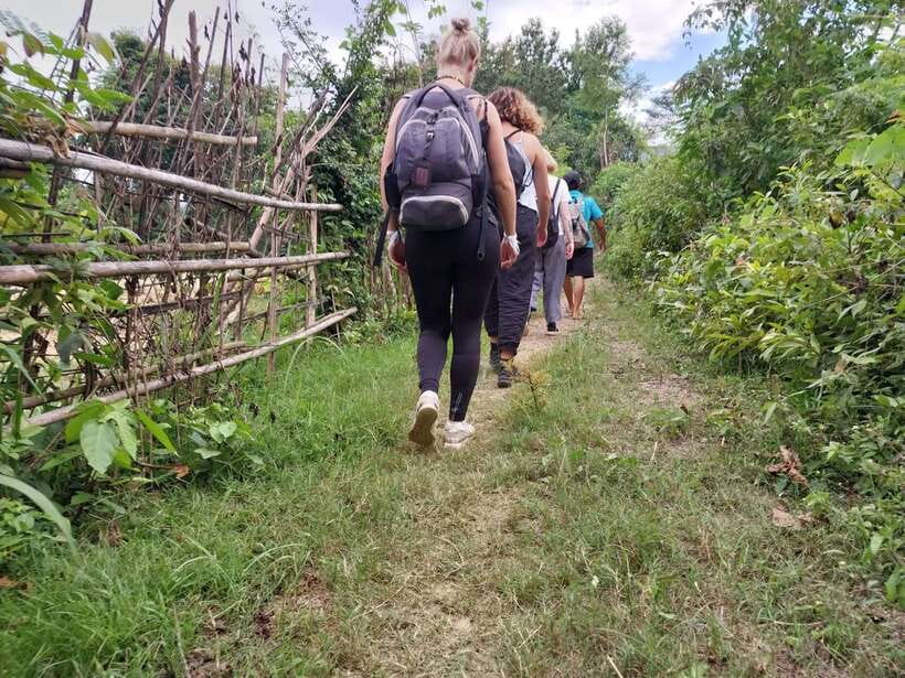Luang Prabang: Hiking Off the Beaten Track with Picnic Lunch - Crops, herbs, and local jungle knowledge