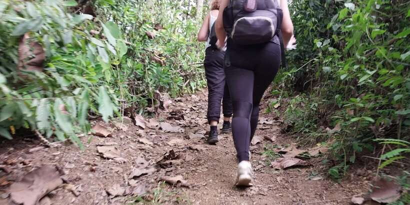Luang Prabang: Hiking Off the Beaten Track with Picnic Lunch - Forest descent to Ban Long Lao
