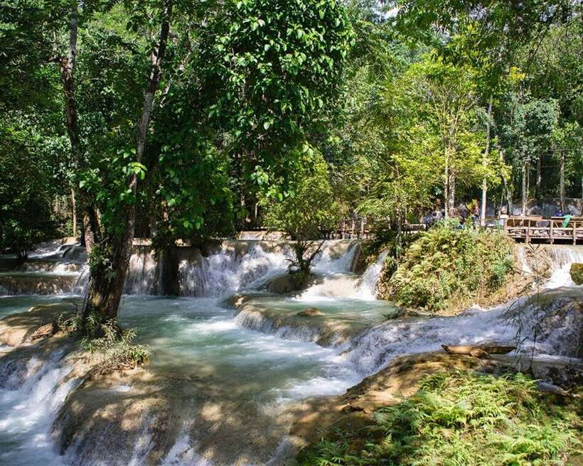 Luang Prabang Thin Pha Trail & Tad Sae Falls Trek - Rice paddies, forest, and rocky mountain paths