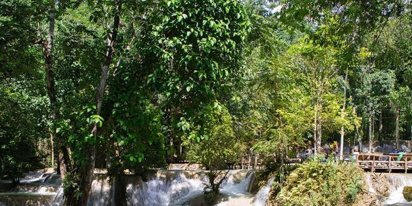 Luang Prabang Thin Pha Trail & Tad Sae Falls Trek - Forest details and the final village