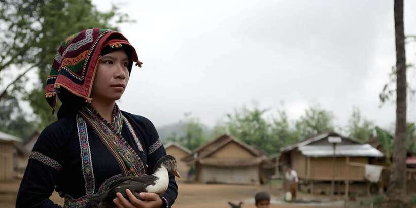 Luang Prabang Thin Pha Trail & Tad Sae Falls Trek - How the price compares with the experience