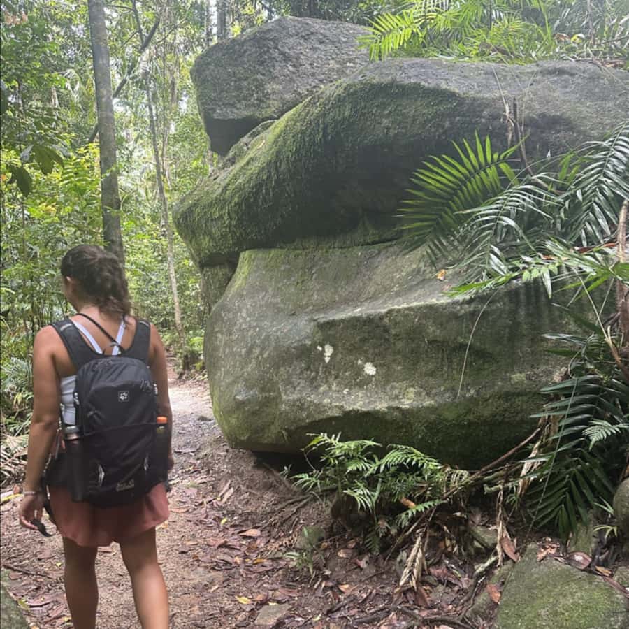 Mackay: Finch Hatton Gorge Hike, Swim & Platypus Adventure - Key things to know before you go