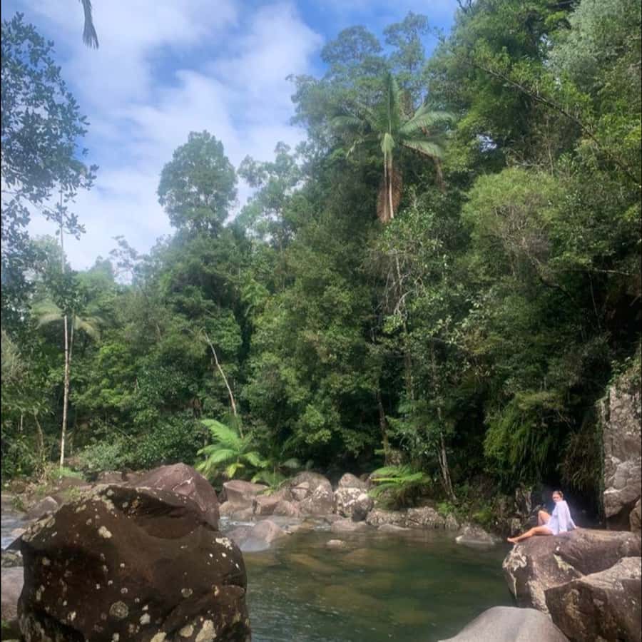 Mackay: Finch Hatton Gorge Hike, Swim & Platypus Adventure - Why Finch Hatton Gorge makes a strong day trip from Mackay