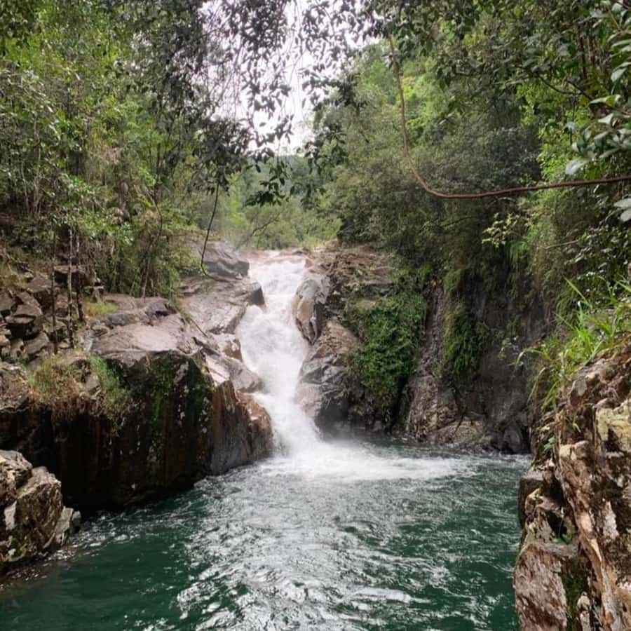 Mackay: Finch Hatton Gorge Hike, Swim & Platypus Adventure - Walking into Finch Hatton Gorge