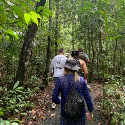 Mackay: Finch Hatton Gorge Hike, Swim & Platypus Adventure