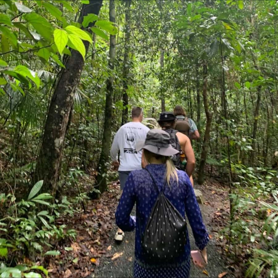 Mackay: Finch Hatton Gorge Hike, Swim & Platypus Adventure - The drive through the Pioneer Valley