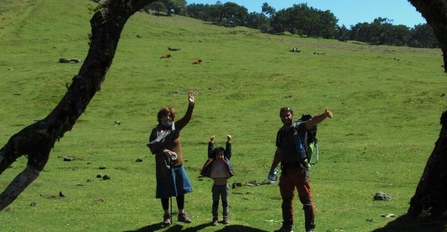 Madeira: Fanal Forest Guided Hiking Tour - A 105-minute walk beneath ancient trees