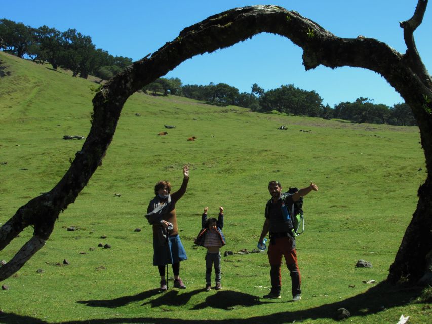 Madeira: Fanal Forest Guided Hiking Tour - The ride from Madeira to the forest