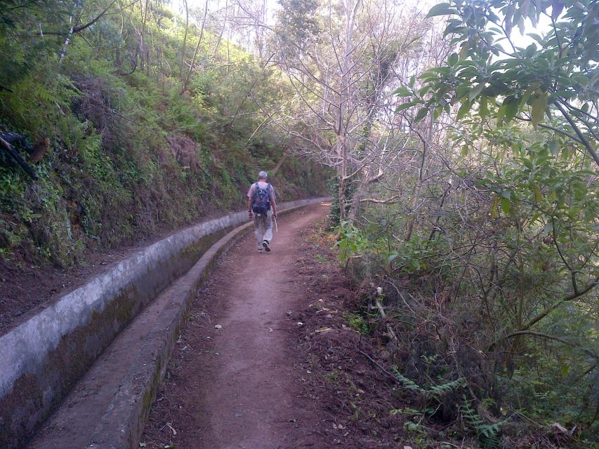 Madeira: Levado do Norte 2-Hour Hiking Tour - Why the Levada do Norte makes a good first Madeira hike