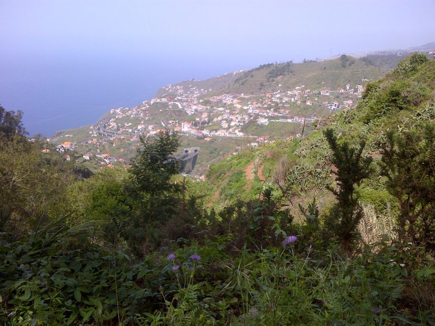 Madeira: Levado do Norte 2-Hour Hiking Tour - What the 138-minute schedule really means