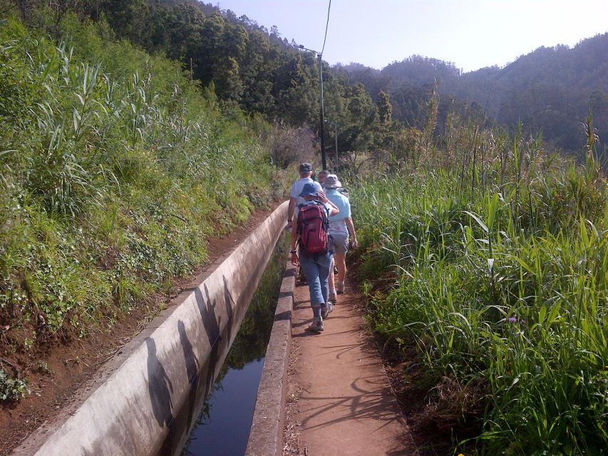 Madeira: Levado do Norte 2-Hour Hiking Tour - Is $33 good value?