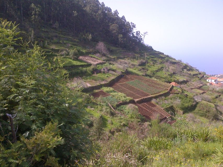 Madeira: Levado do Norte 2-Hour Hiking Tour - The first section below Cabo Girão