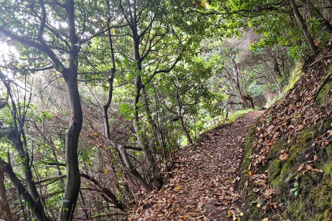 Madeira Porto da Cruz to Machico Self Hiking Tour with Transfer - How the self-guided format works