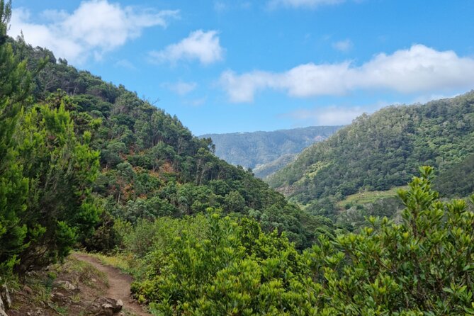 Madeira Porto da Cruz to Machico Self Hiking Tour with Transfer - Should you book the Vereda do Larano hike?