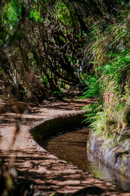 Madeira: PR 18 - Levada do Rei Hike Transfer with Host - Farmland, forest tunnels, and falling water