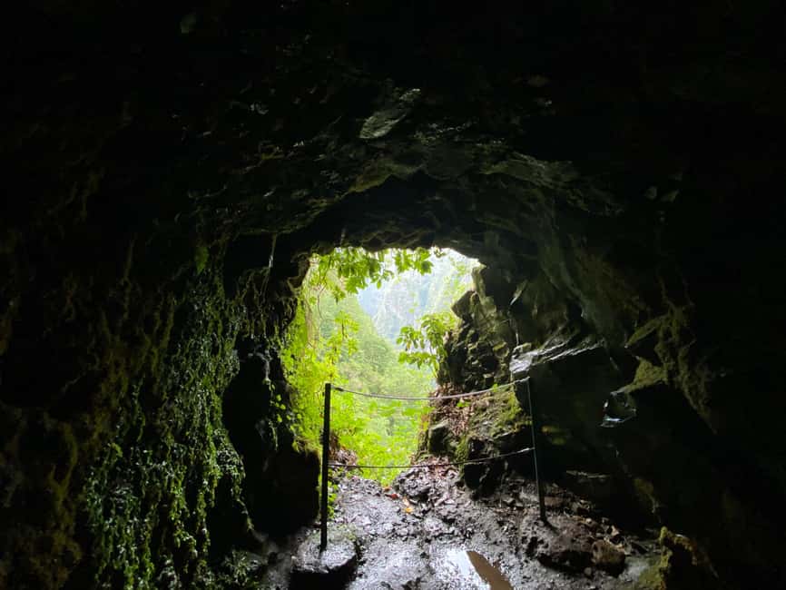 Madeira: PR 9 - Levada do Caldeirão Verde Hike Transfer - Key points to know before you book