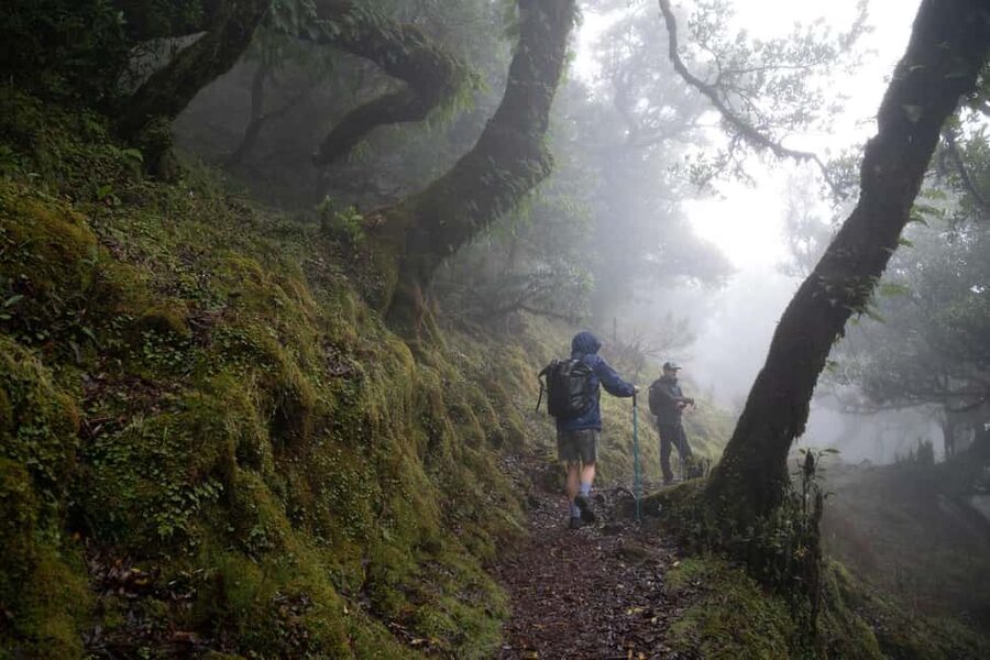 Madeira: PR 9 - Levada do Caldeirão Verde Hike Transfer - Why PR9 is one of Madeira’s memorable walks