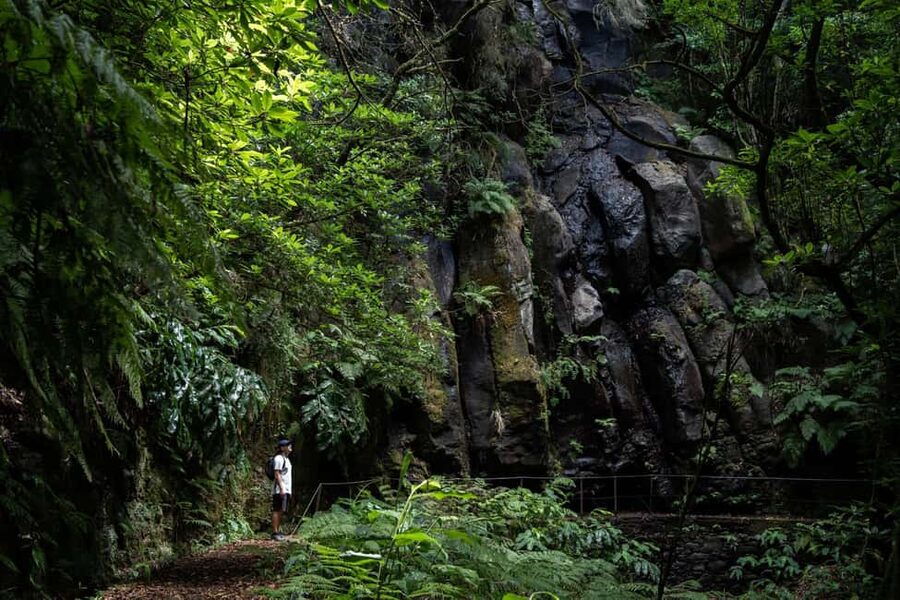Madeira: PR 9 - Levada do Caldeirão Verde Hike Transfer - The 25-minute approach on PR9.1