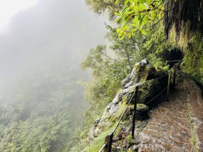 PR 9 – Levada do Caldeirão Verde Hike Transfer