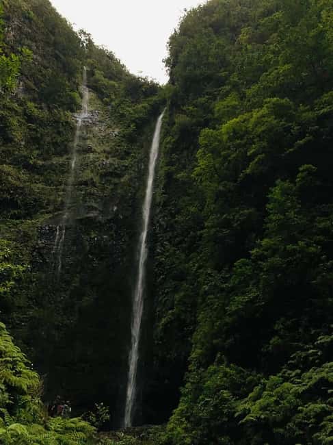 Madeira: PR 9 - Levada do Caldeirão Verde Hike Transfer - What the $47 price really covers