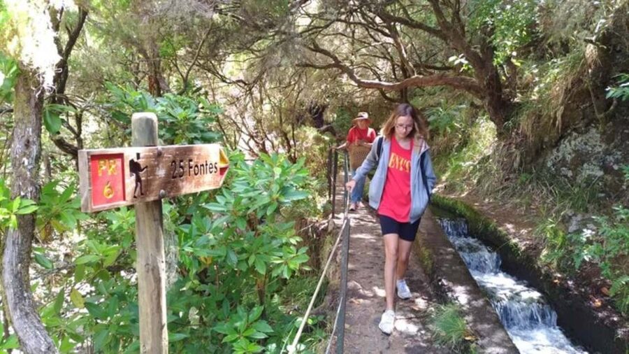 Madeira: Rabaçal, Risco and 25 Fontes Guided Hiking Tour - Why the Rabaçal route is worth your day