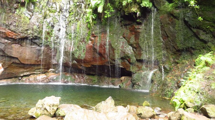 Madeira: Rabaçal, Risco and 25 Fontes Guided Hiking Tour - From Funchal to the Rabaçal Forestry Station