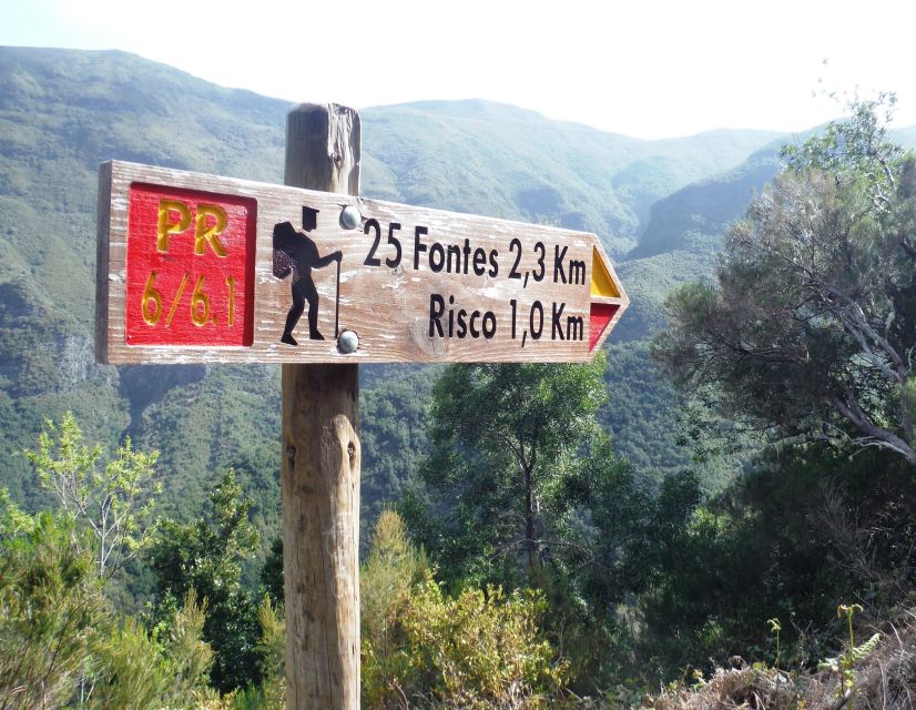 Madeira: Rabaçal, Risco and 25 Fontes Guided Hiking Tour - The forest route to 25 Fontes Lake
