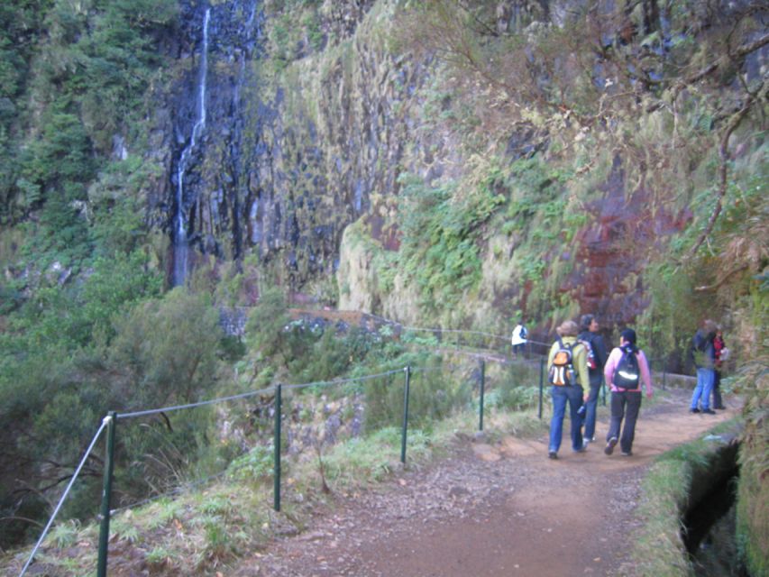 Madeira: Rabaçal, Risco and 25 Fontes Guided Hiking Tour - Laurisilva forest and Madeira’s plant life