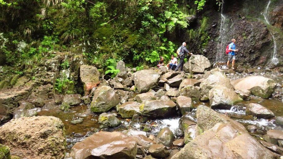 Madeira: Rabaçal, Risco and 25 Fontes Guided Hiking Tour - Is $47 a fair price?