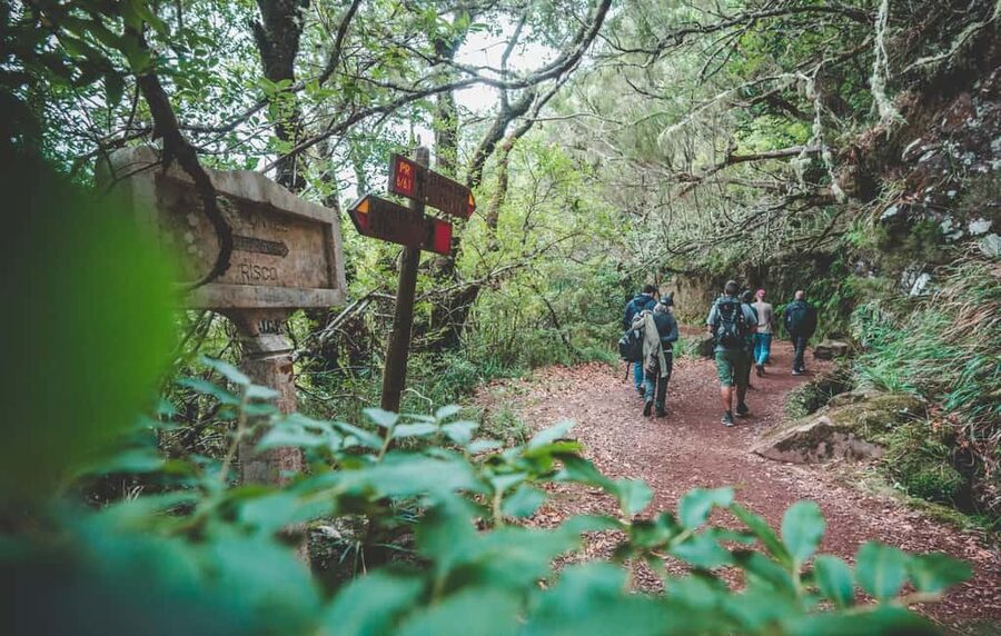 Madeira: Rabaçal Valley and the 25 Fountains Hike - Key points to know before booking