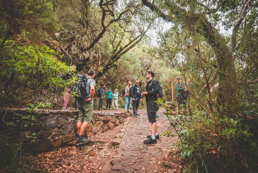 Madeira: Rabaçal Valley and the 25 Fountains Hike - Why Rabaçal is one of Madeira’s classic walks