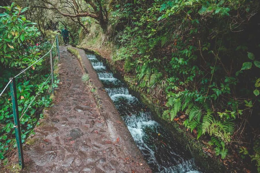 Madeira: Rabaçal Valley and the 25 Fountains Hike - The first steps through Laurissilva Forest