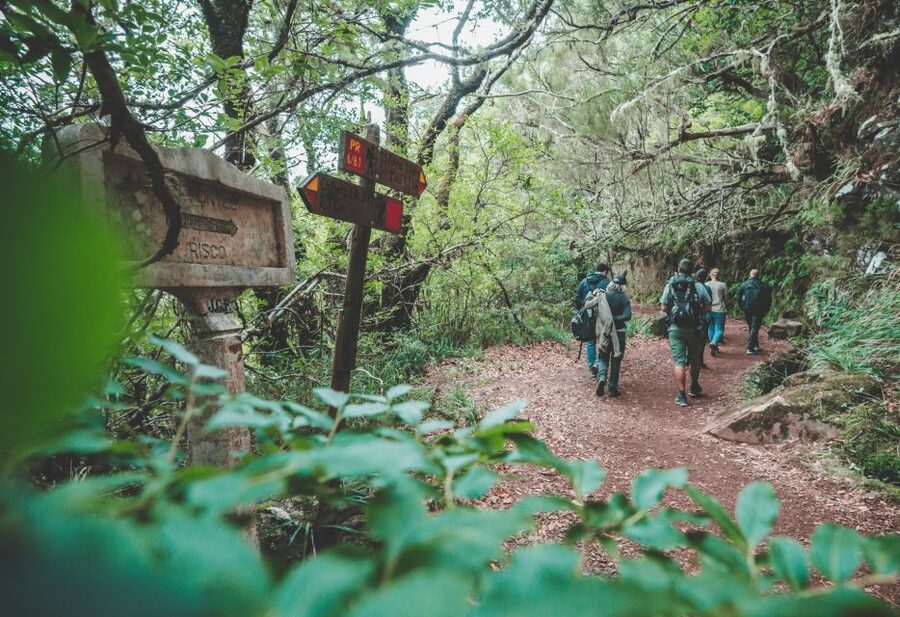 Madeira: Rabaçal Valley and the 25 Fountains Hike - What the guide adds to the experience