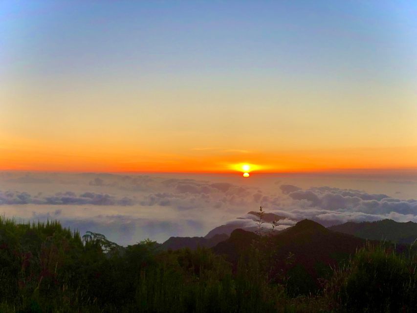 Madeira: Sunrise at Pico do Arieiro & Hike Larano trail - What the $53 price really buys you