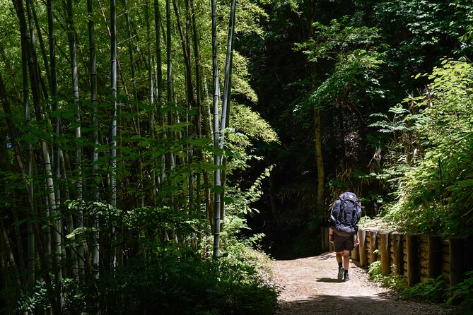 Magome & Tsumago Nakasendo Trail Day Hike with Government-Licensed Guide - The forest path, stone road, and countryside