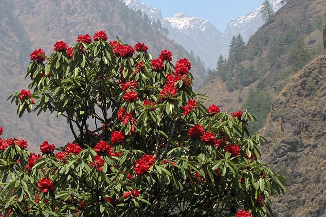 Manaslu Circuit Trek - Machha Khola and Jagat: waterfalls, bridges, and river gorges