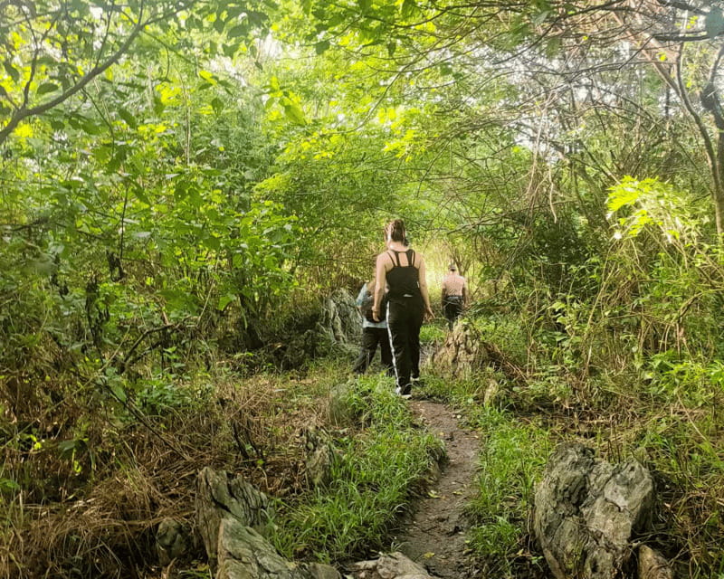 Manila: Mt. Kulis, Tanay, Rizal Hike and Scenic Adventure - Who should book Mt. Kulis