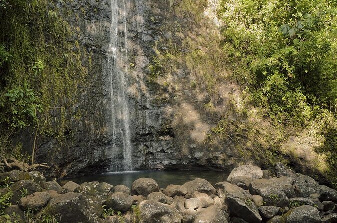 Manoa Waterfall Hike with Waikiki Pickup & Healthy Lunch - Key points to know before booking