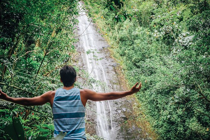 Manoa Waterfall Hike with Waikiki Pickup & Healthy Lunch - From Waikiki hotels to Manoa Valley