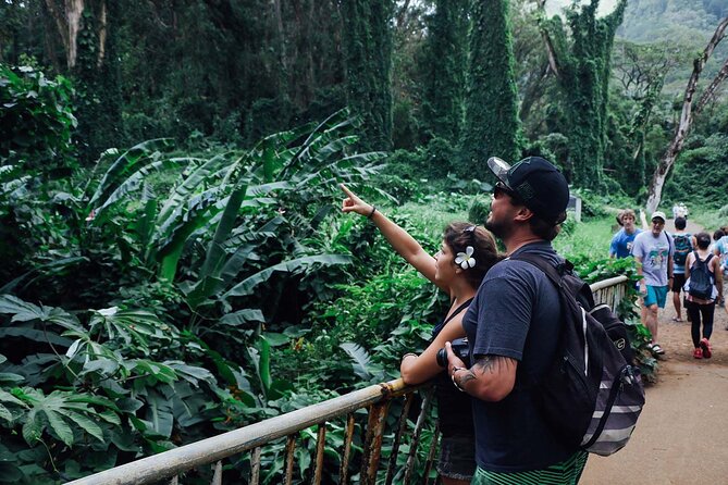 Manoa Waterfall Hike with Waikiki Pickup & Healthy Lunch - The guides make the difference