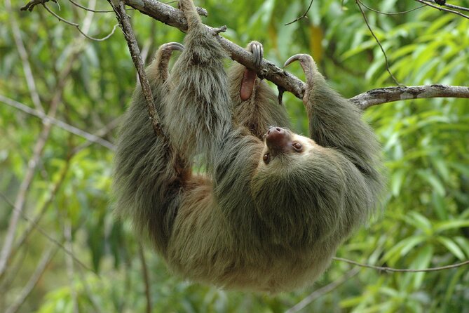 Manuel Antonio National Park Hiking Tour from Jacó - Key points to know before booking
